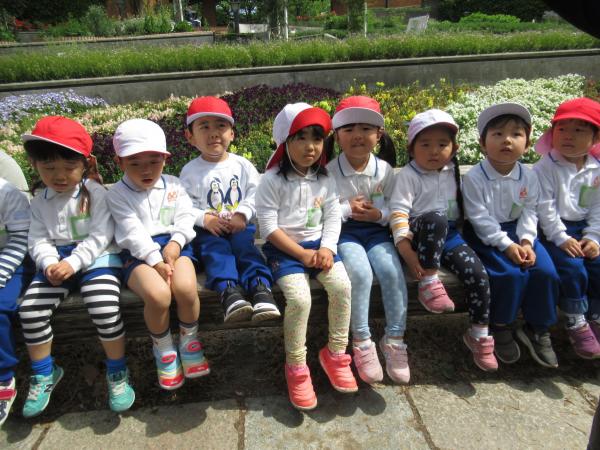 学校法人宗学園 けご幼稚園 ｜ けご幼稚園フォトアルバム